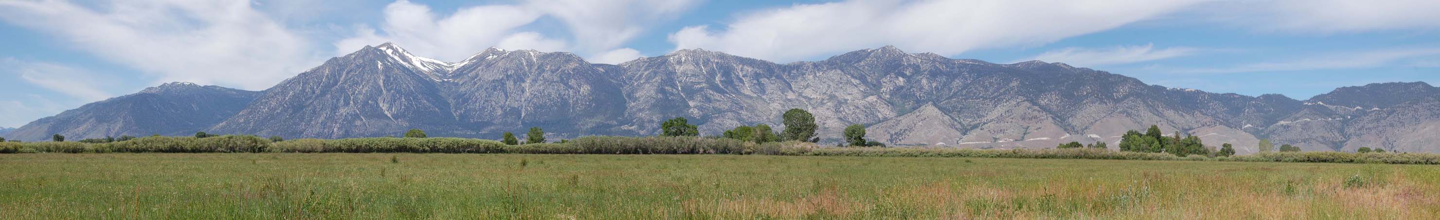 Minden, NV